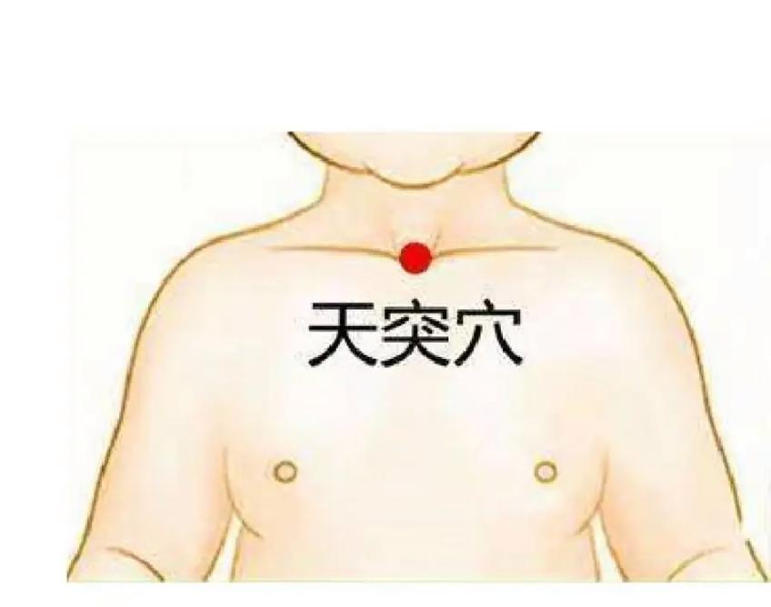 身上的穴位天突 鸠尾