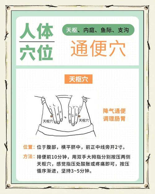 按摩什么穴位促进排便