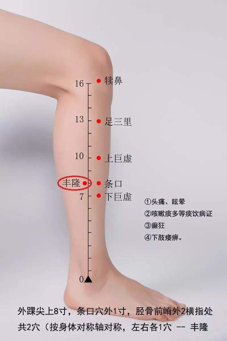 祛痰 需要按什么穴位