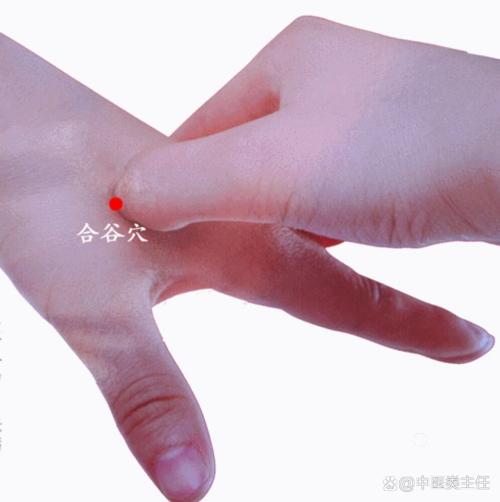 甲状腺腺瘤按什么穴位