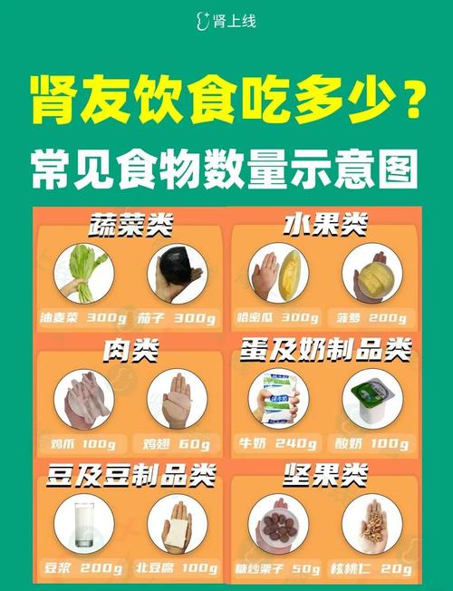 左肾缩小吃什么饮食好