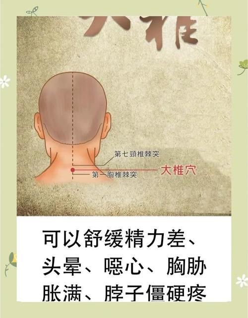 人体穴位经络图 大椎