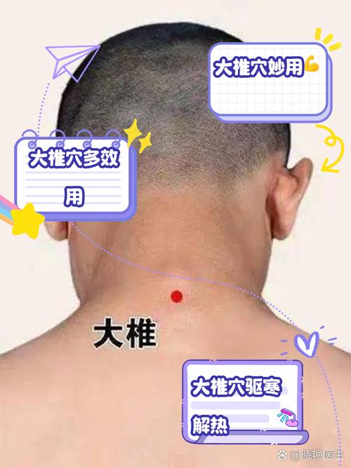 人体穴位经络图 大椎