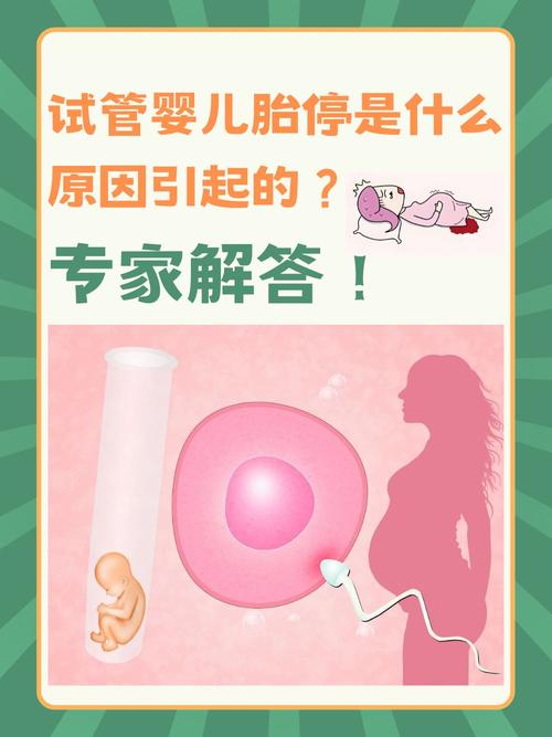 胎停育和饮食有关系吗