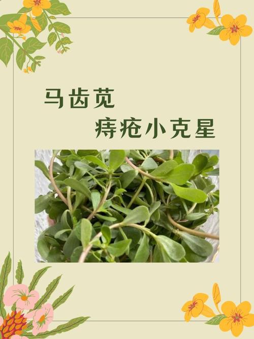 马氏中医治痔疮好使吗