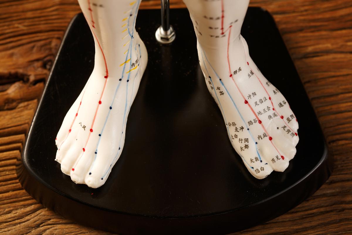 穴位指的是骨还是血管