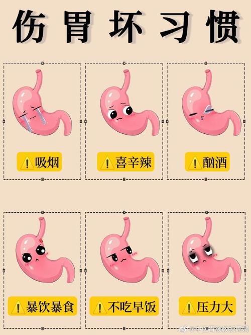 有饮食伤着胃的胃的吗