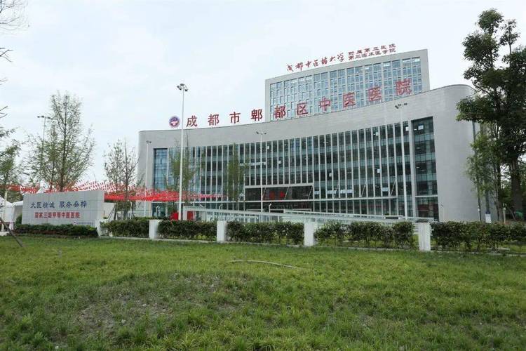 成都郫县中医医院官网