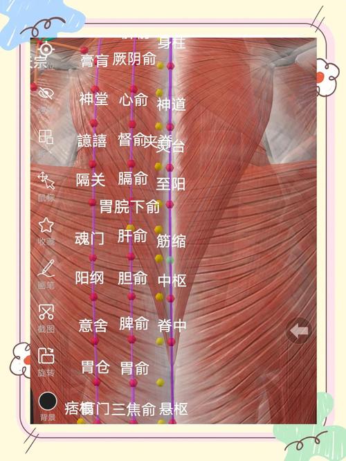 腰椎神经穴位按摩治疗