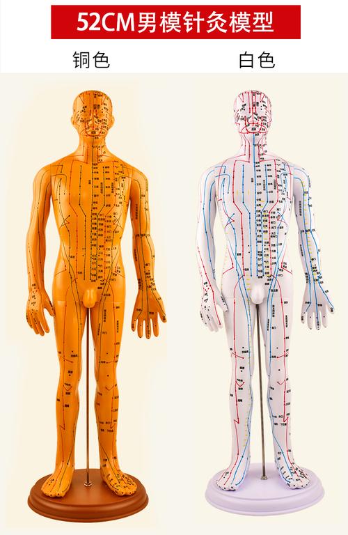 人体针灸 艾灸穴位图