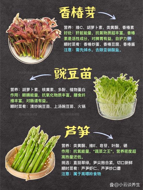 春季养生饮食的重要性