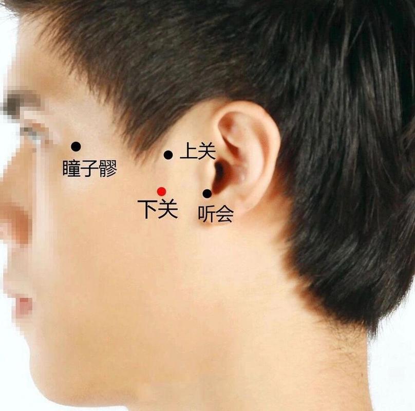 治疗颌下腺肿瘤的穴位