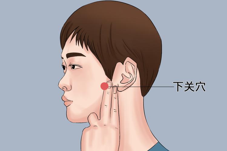 治疗颌下腺肿瘤的穴位