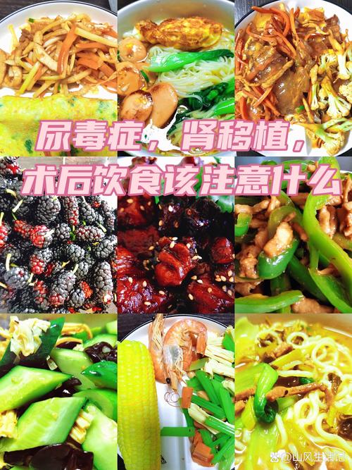 经皮肾镜手术后的饮食