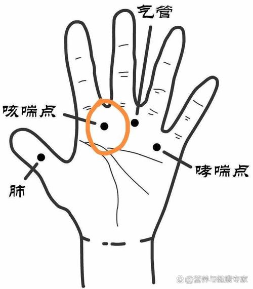 肺经当令 哮喘 穴位