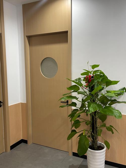 中医李凤军的诊所地址