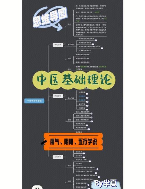 中医的发展现状和前景