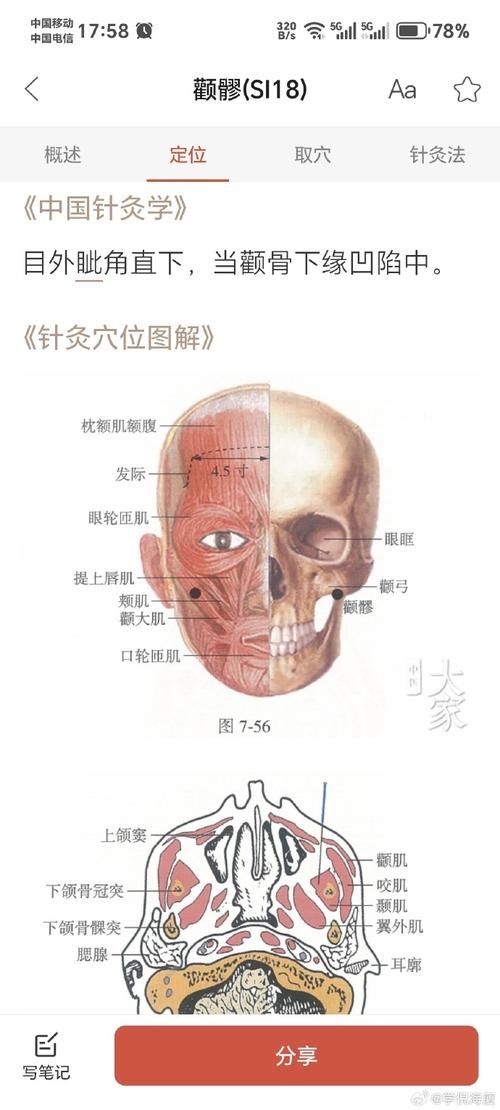 颞下颌关节 穴位按摩