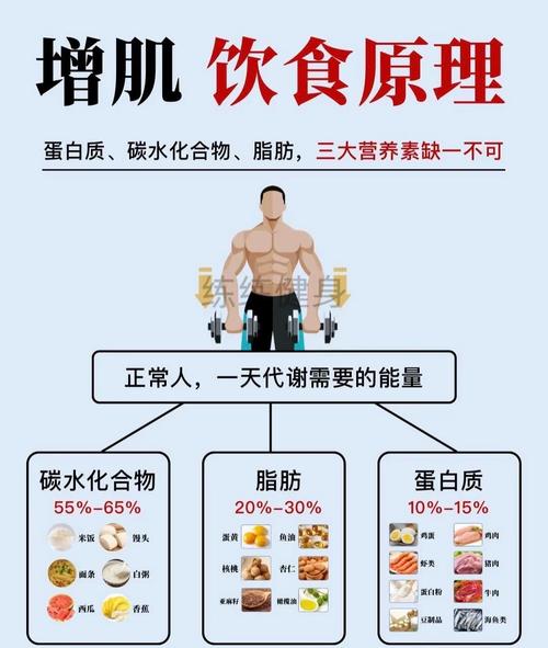 增肌减脂饮食计算公式