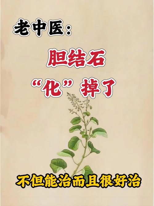 胆囊炎的中医辩证治疗