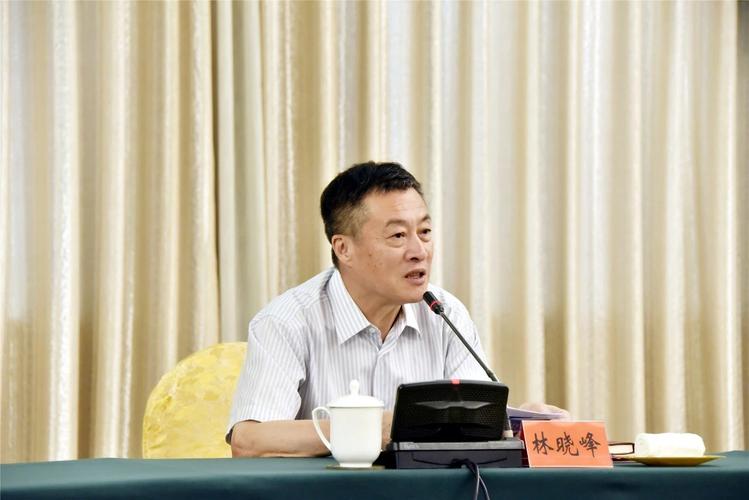 中医药大学林晓峰擅长