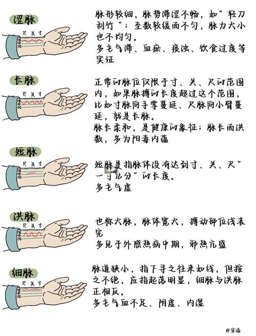 中医把脉脉弱怎么回事