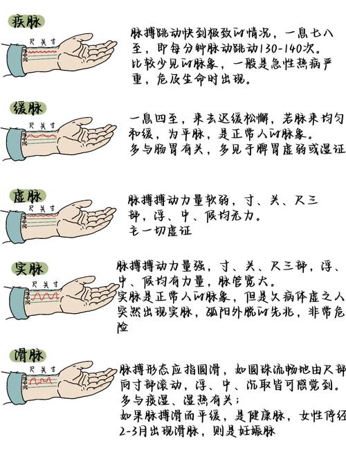 中医把脉脉弱怎么回事