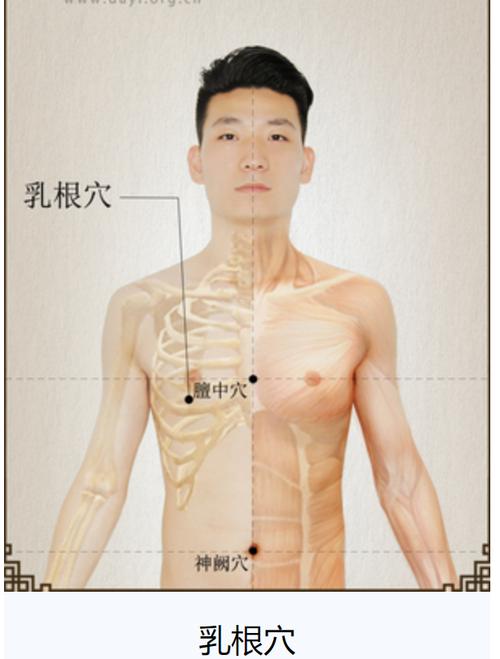 男性乳腺按摩什么穴位