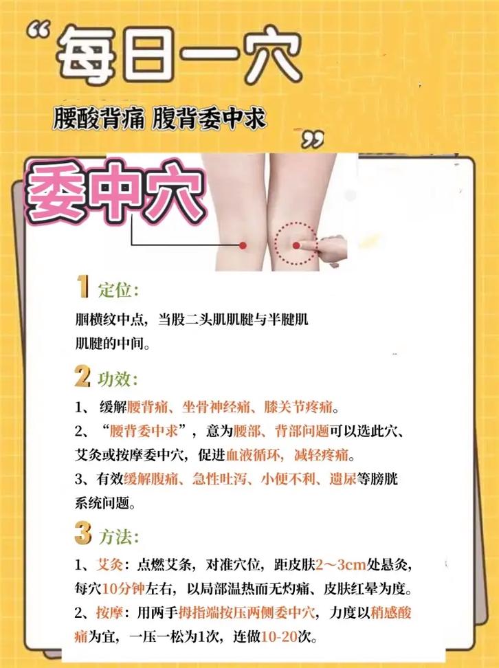 女性腰疼按摩什么穴位