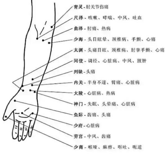 胳膊穴位对应器官详解