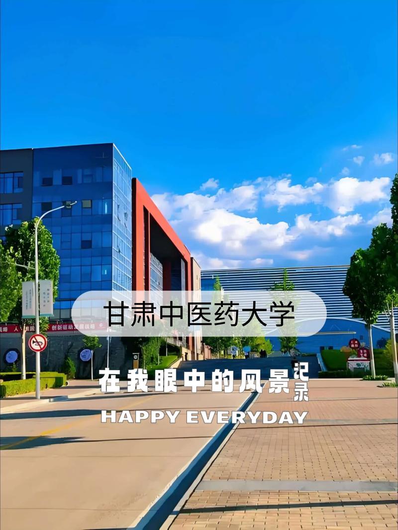 甘肃中医药大学迎新网