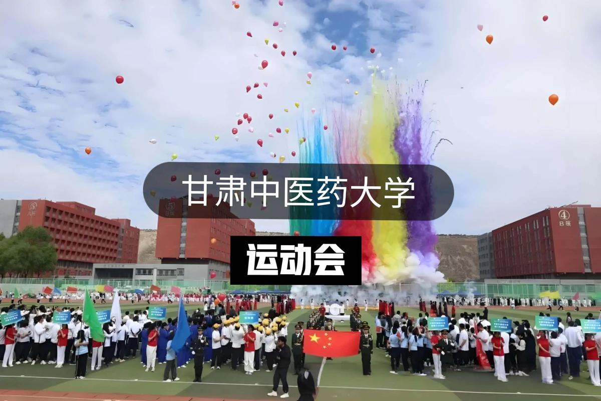 甘肃中医药大学迎新网