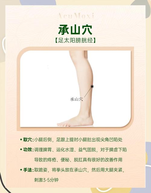 肠炎痔疮按摩什么穴位