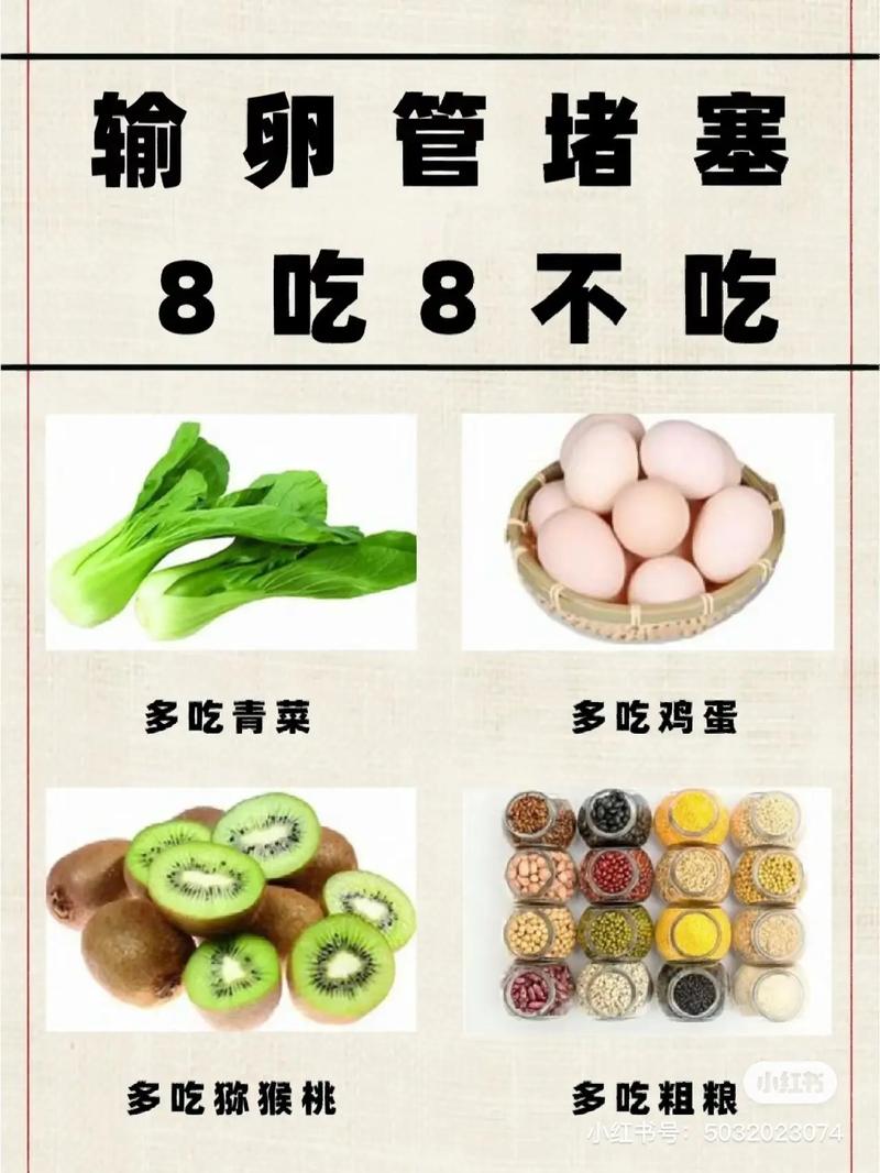 输卵管积水患者的饮食