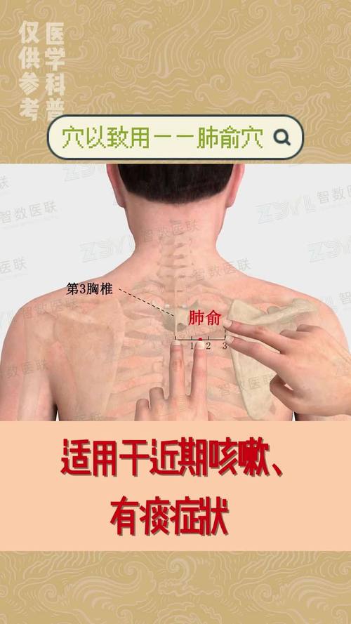 湿热咳嗽艾灸哪个穴位