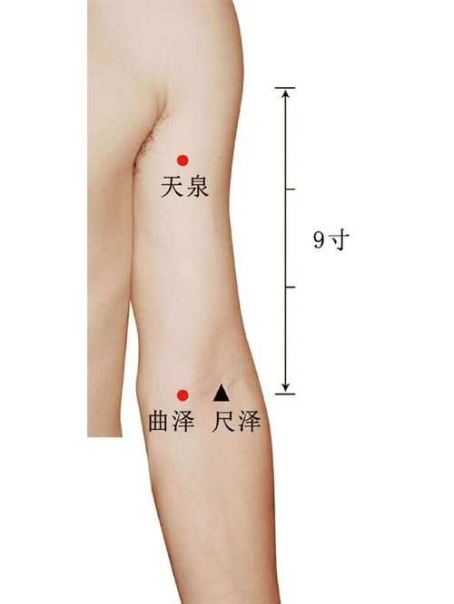 急性肠炎中医哪个穴位