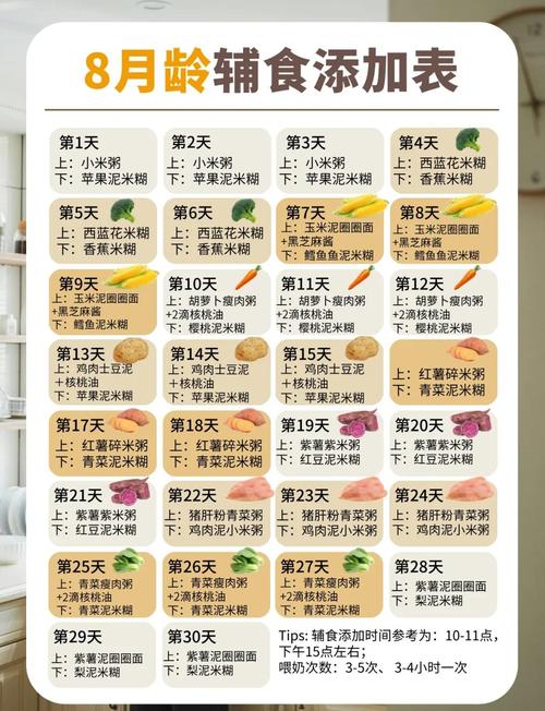 8个月大宝宝饮食参考