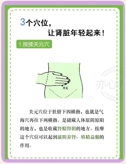 肾脏问题按摩什么穴位