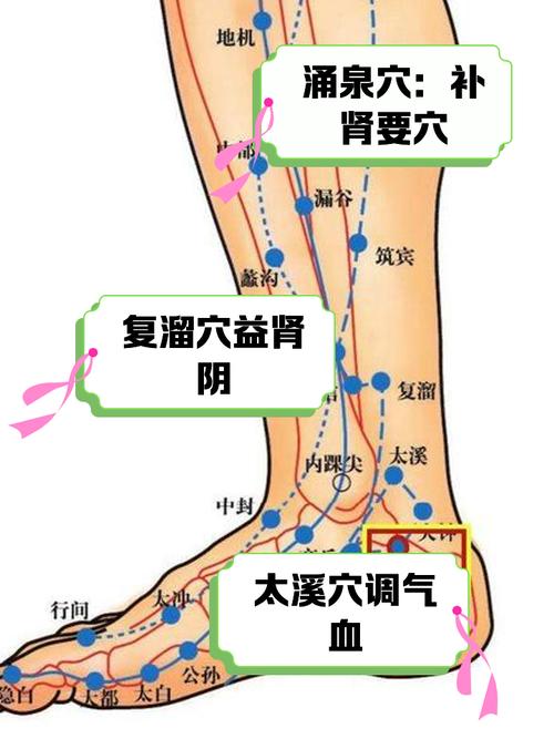 肾虚 气血虚按摩穴位