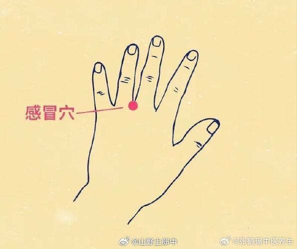 春季流感预防按摩穴位