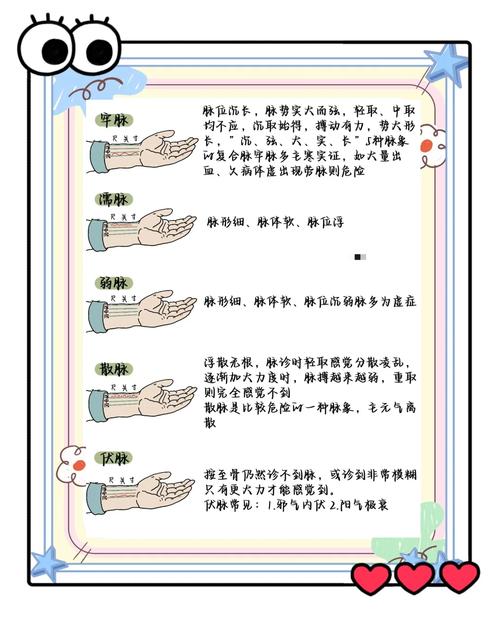 中医试脉搏生男女准吗