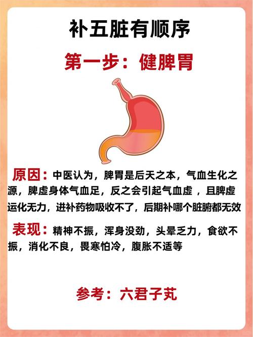 调理身体看中医有用吗