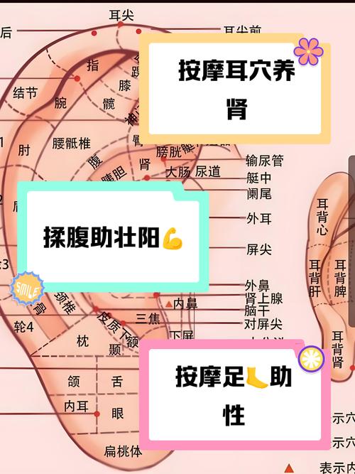 那个穴位提高精子质量