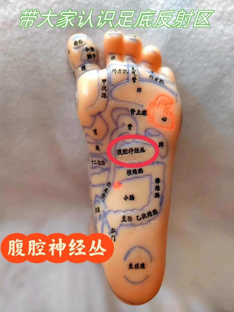 右脚有些穴位突然跳动