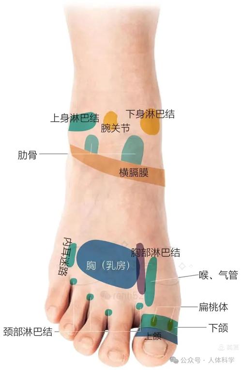 右脚有些穴位突然跳动