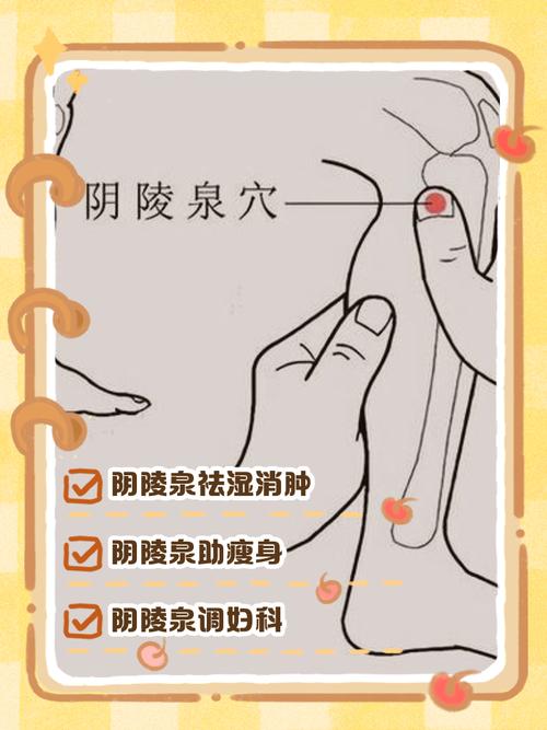 尿道发炎艾炙什么穴位