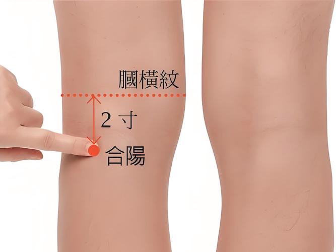 尿道发炎艾炙什么穴位