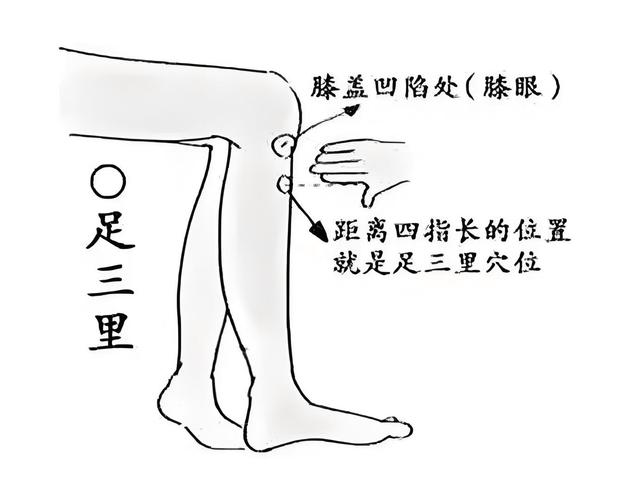 阑尾疼痛刺激哪个穴位