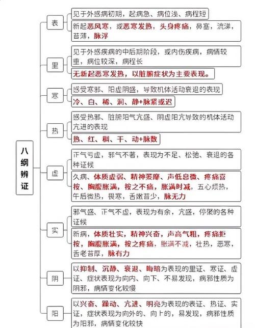 中医辩证方法的多样性