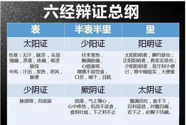 中医辩证方法的多样性